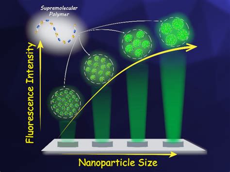 Size Fluorescence Correlation Of Organic Fluorescent Nanoparticles Chemistryviews