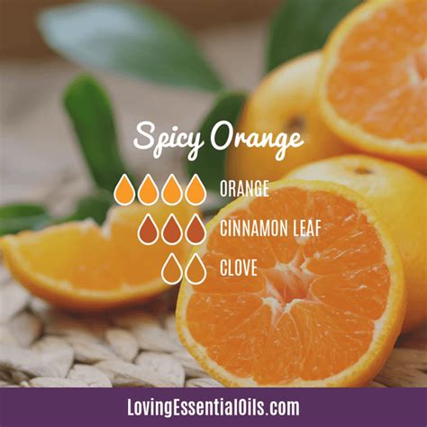 Orange Diffuser Blends - 10 Blissful Essential Oil Recipes – Loving Essential Oils