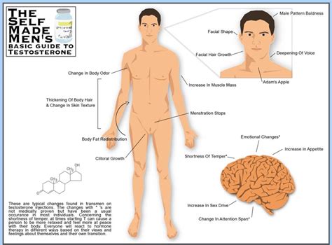 Transgender Ftm Testosterone