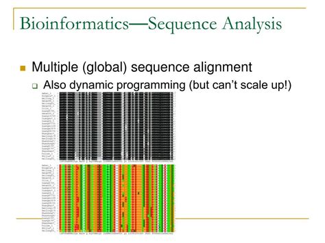 Ppt Bioinformatics Basics Powerpoint Presentation Free Download Id