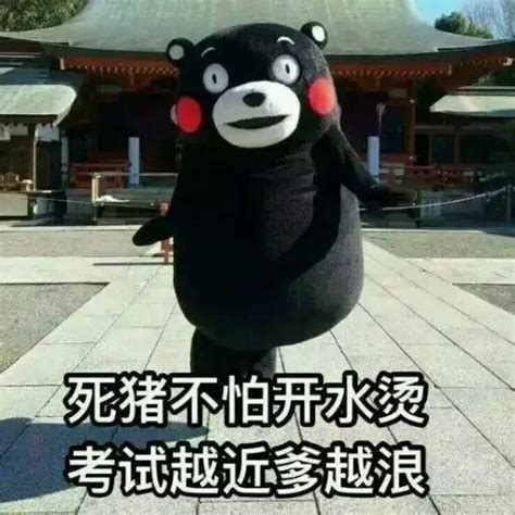 史上最全学习专用表情包！ 哔哩哔哩