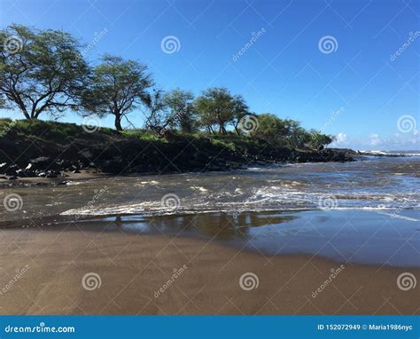 Waimea River Entering Pacific Ocean In Waimea During Sunny Morning On