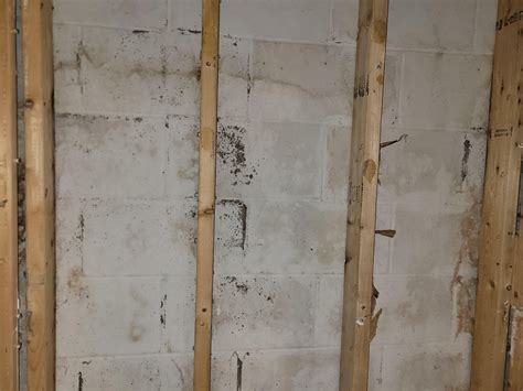 Concrete block foundation waterproofing advice : r/HomeImprovement