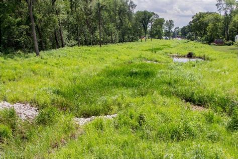 File Wet Swale Figure 6 Minnesota Stormwater Manual