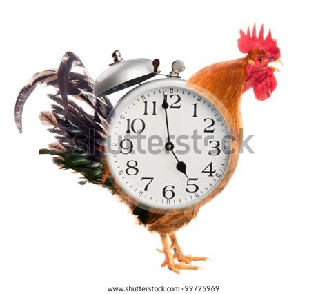 Collage Rooster Alarm Clock Stock Photo (Edit Now) 99725969