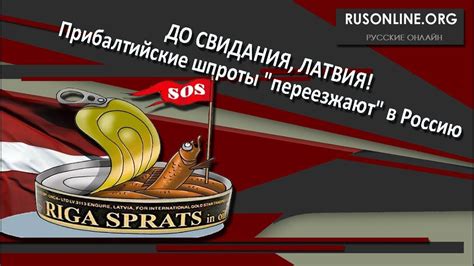 Прибалтийские шпроты "переезжают" в Россию - YouTube