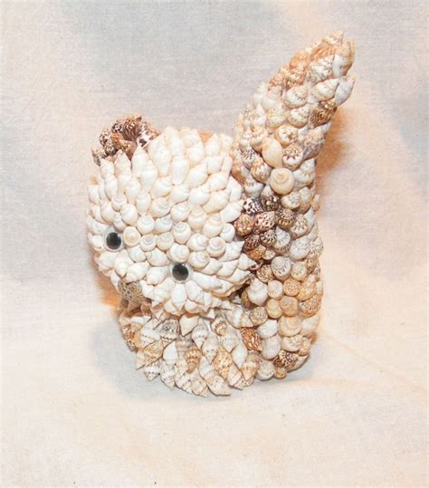 1000+ images about Stunning Seashells on Pinterest | Sea shells ...