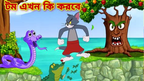 Tom And Jerry Tom And Jerry Bangla Cartoon Tom And Jerry Cartoon