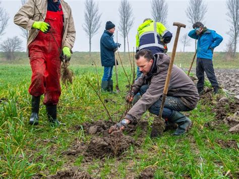 Voedselbos Lust En Last Stichting Voedselbosbouw