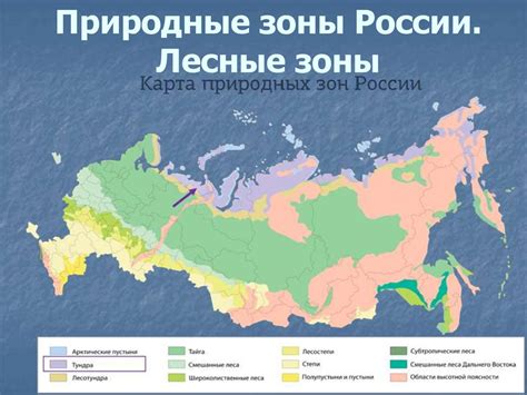 Природные зоны россии