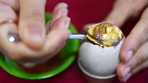 Exploring The Delicacy Of Balut In Vietnam Duongs Restaurant