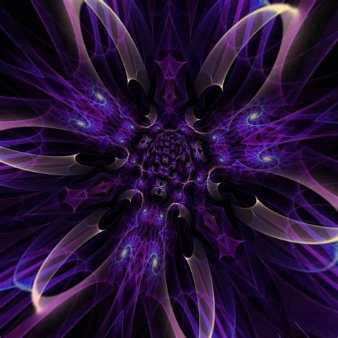 Fractal Flower Free Stock Photo - Public Domain Pictures