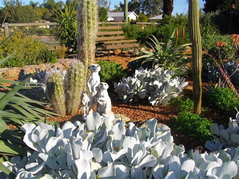 Desert Garden Landscaping Ideas With Succulents