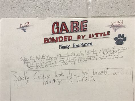 I Spent Two Days At Creekview Intermediate And Met Some Amazing