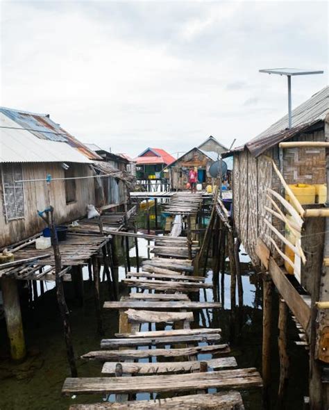 Viral Bule Denmark Perbaiki Jembatan Di Wakatobi Bertahun Tahun Rusak