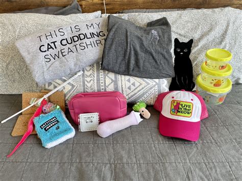 10 Best Cat Subscription Boxes in 2026 - Reviews & Top Picks - Catster