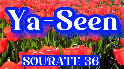 Coran Traduction Audio Francais Sourate 36 Ya Seen Youtube