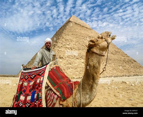 Retrato De Un Hombre Con Su Camello Camello En Frente De La Pir Mide De