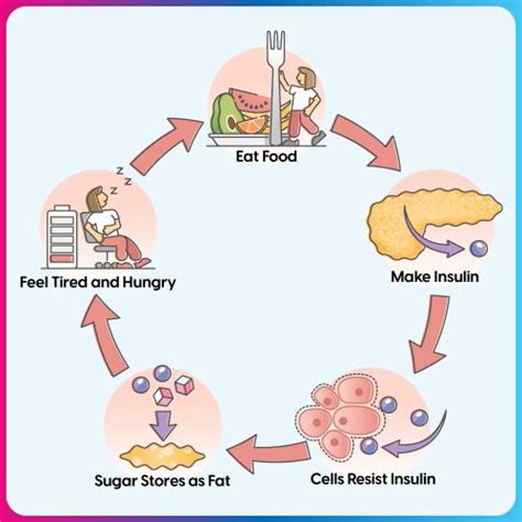role  insulin  regulating blood sugar levels fitterfly