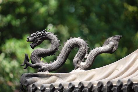 Free Dragon Public Domain Cc0 Photos Dreamstime