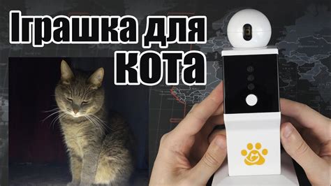 Іграшка для кота | робот з лазером | огляд - YouTube