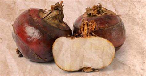 6 Health Benefits Of Water Chestnuts The Next Big Superfood