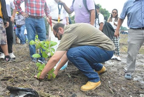 La academia sembrará un millón de plantas