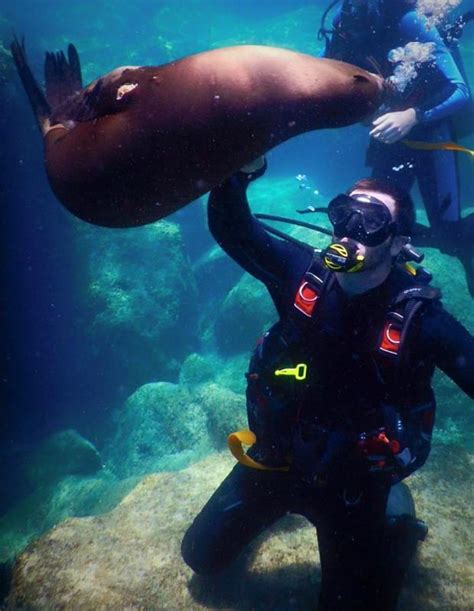 Manta Scuba Diving Dive Shop, Cabo San Lucas | Mexico Scuba Diving