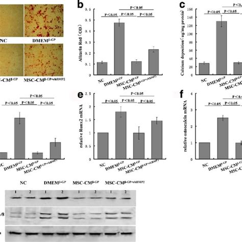 BMP2 overcomes inhibited effect of MSC CM on β GP induced VSMC