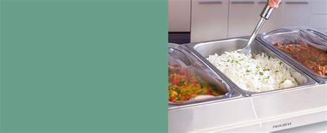 Progress Ek P Electric Buffet Server Pan Hot Plate X L Removable Sections And Lids