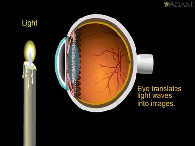 How The Eye Works Animation How Do We See Video Nearsighted