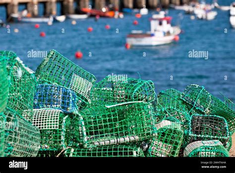 Lobster And Crab Traps Stack In A Port Stock Photo Alamy