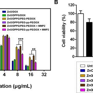 A Cellular Uptake Of The Dox Loaded Zno Based Nps After H Incubation