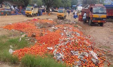 Tomato waste piled up in Kinathukkadu vegetable market- Public ...
