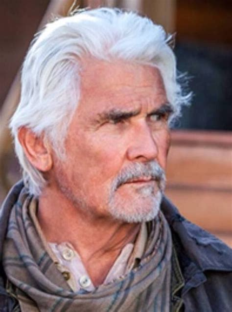 Charles Brolin Handsome Gray Haired Man Beautiful Gray Hair Men