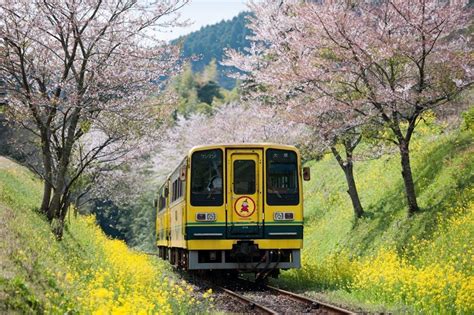 廃止寸前から立て直した千葉県・いすみ鉄道 「非日常」を地域の価値と捉えよう 広報会議デジタル版