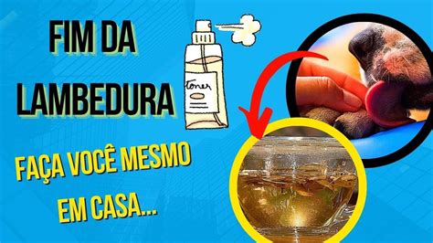 Remédio Caseiro Para Cachorro Que Lambe A Pata - COMO FAZER CACHORRO PARAR DE LAMBER PATA REMÉDIO CASEIRO CURA DERMATITE ...