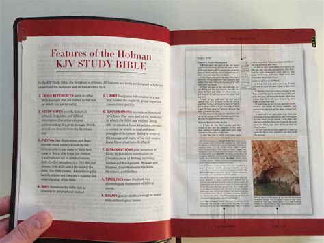 Holman KJV Study Bible Saddle Brown LeatherTouch Indexed Review • Bible