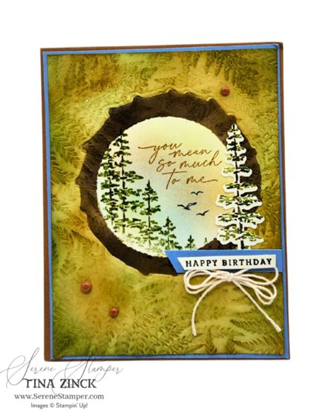 Double Embossing Fun Creative Techniques Tina Zinck Stampin Up