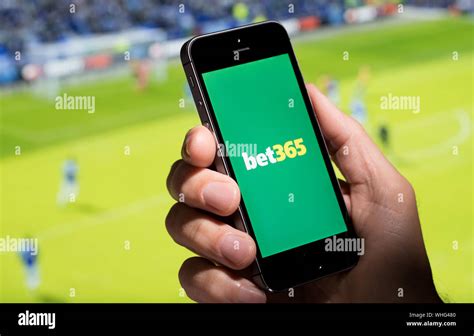 A Man Looking At The Bet365 App Website Whilst Watching The Football
