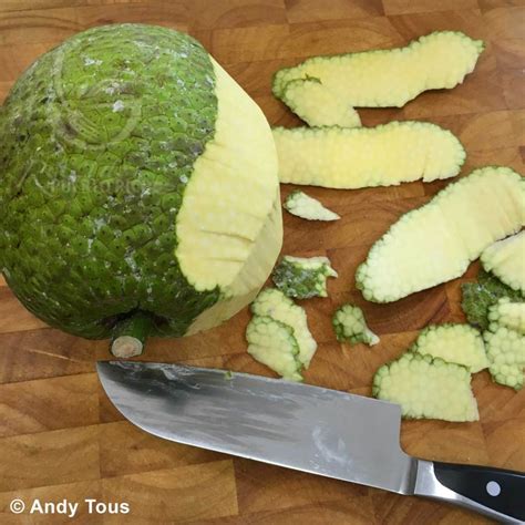 Tostones De Pana