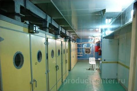 Угличская птицефабрика — производитель перепелиных яиц и мяса перепелов ...