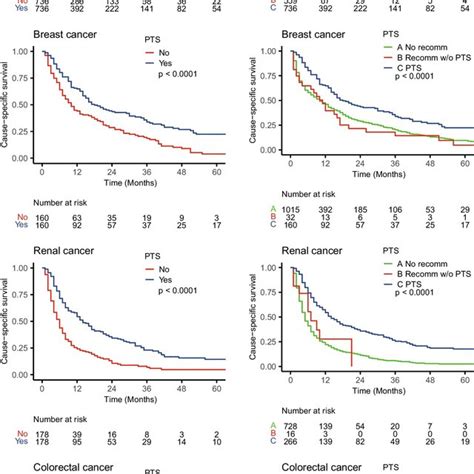 Kaplan Meier Curves Of Cause‐specific Survival By Primary Tumor