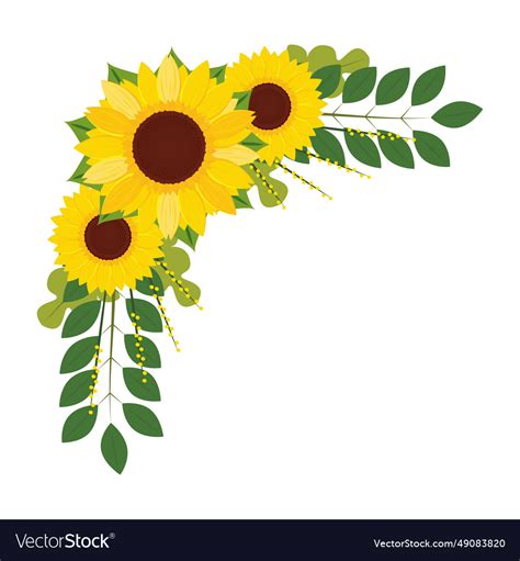 Colored sunflower border flower Royalty Free Vector Image