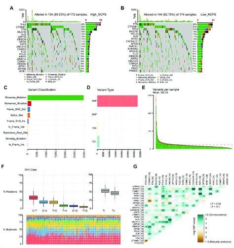 Mutation Landscape Of Tcga Cohort A B Mutated Genes In High And