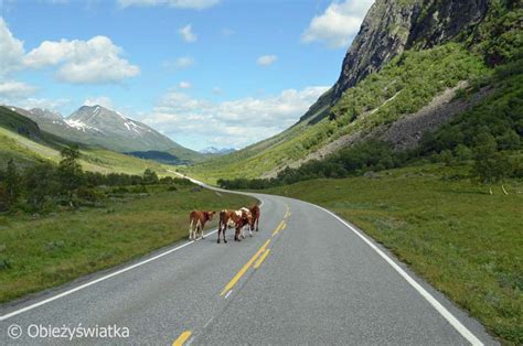 Geiranger I Droga Or W