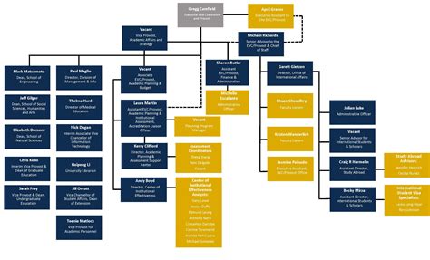 Organizational Chart Office Of The Executive Vice Chancellor And Provost