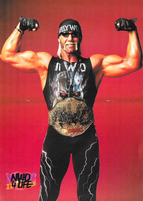 Hulk Hogan Nwo 1996 1999