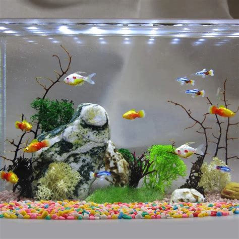 fish tank decor ideas intan growel