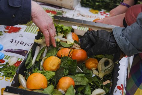 Slobodna Dalmacija U Hrvatskoj godišnje stotine tisuća tona hrane